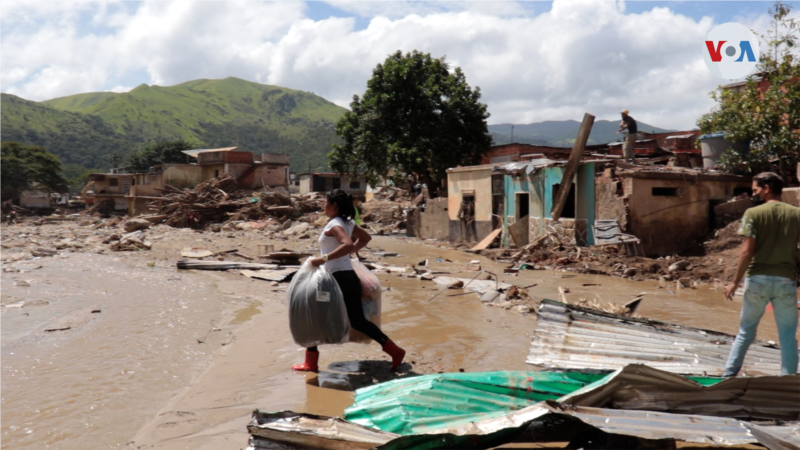La déforestation, élément clé des glissements de terrain au Venezuela