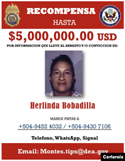 Le 8 octobre 2015, un grand jury fédéral a rendu un acte d'accusation contre Erlinda Ramos-Bobadilla ou Chinda et ses deux fils pour trafic de cocaïne.
