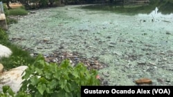 Photo panoramique du lac Maracaibo, au Venezuela, au Mirador del Parque La Marina.  La photographie a été prise le mardi 4 juillet 2023.