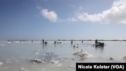 Les hommes du sel au Venezuela