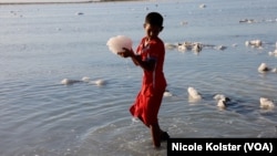 Les enfants travaillent aussi le sel.