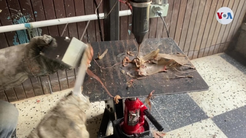 Les jeunes donnent une « seconde chance » au plastique
