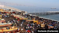 Il travaille actuellement comme pêcheur à Caleta Portales, une zone de pêche proche du port de Valparaíso, au Chili.