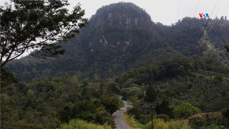 Pourquoi le Nicaragua pourrait-il perdre ses forêts dans 20 ans ?