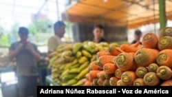 Les légumes se vendent 1,20 dollars le kilo sur un marché populaire de l'est de Caracas