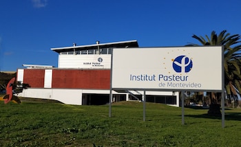 Les chercheurs de l'Institut Pasteur ont développé
