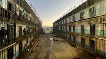 En Uruguay, ils ont été détectés 96