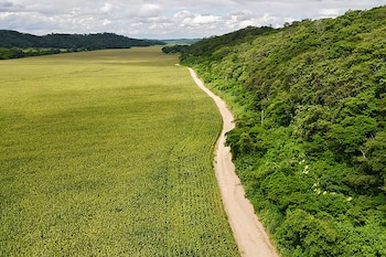 Image de la propriété Adam et