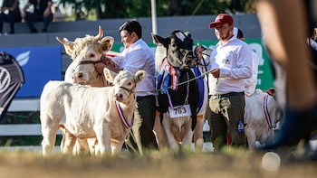 Des éleveurs faisant une exposition pendant