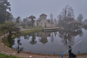 Plusieurs palmiers dans le parc