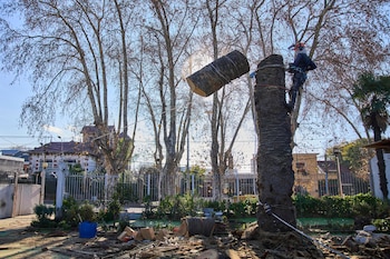 Le maximilien arebalo jardinier court