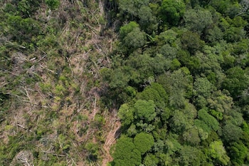 Une vue de drone montre