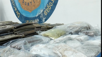 Hachish en Uruguay: la police croit