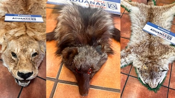 Il y a dix jours, un ancien ambassadeur