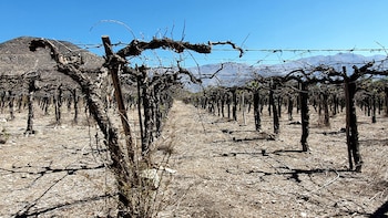 La région Coquimbo est