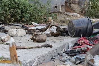 Les restes humains se trouvent dans le