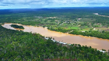 L'attaque dénoncée par la Guyane
