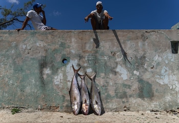 Les gens à côté de la pêche