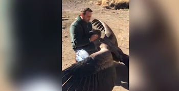 Della Gáspera est devenue connue