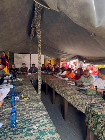 Selon une publication infantile