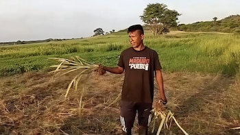 Yonel, chef indigène dans le