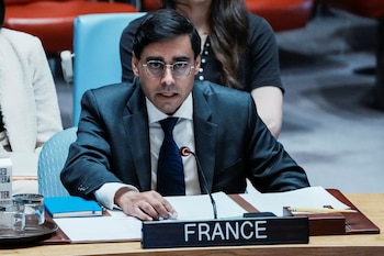 Jay Dharmadhikari, Représentant permanent adjoint