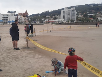 La mère et son petit