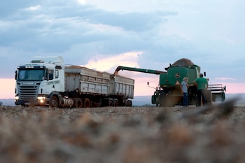 Exportations de soja