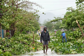 Un homme marche entre les arbres