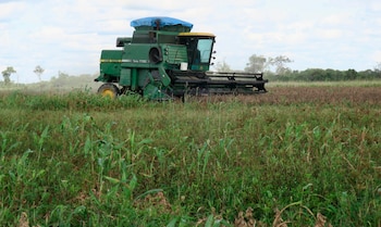 La production agricole a