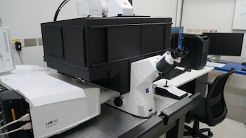 L'équipe met le Chili