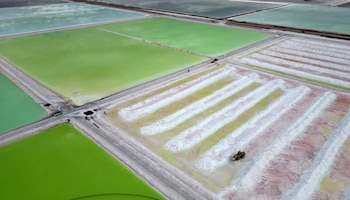 La coentreprise lithium