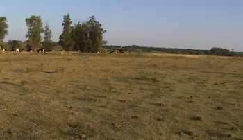 Les producteurs mettent en garde contre le déficit hydrique