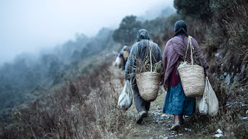 Le panneau a mis en évidence