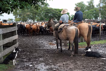 L'agriculture, l'un des