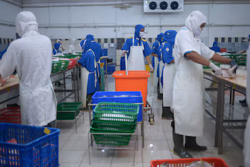 Produits de la mer, en