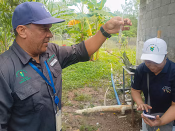 La Région Métropolitaine mène la