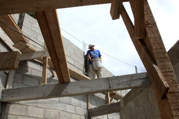 La perte du couvert végétal