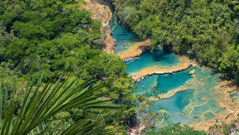 Vue aérienne de Semuc Champey, montrant des piscines naturelles à plusieurs niveaux d'eau turquoise, entourées d'une jungle luxuriante et avec des gens qui nagent