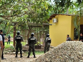 Le python trouvé dans la maison a été gardé sans les permis correspondants. (PHOTO : La Prensa)