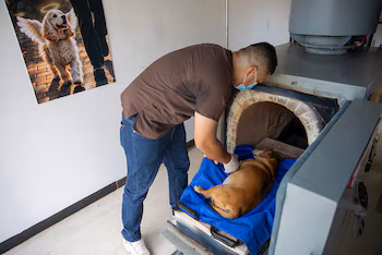 Michael Lee Morales arrange le corps d'un animal de compagnie, au centre de crémation Pethelios à Managua. (EFE/STR)