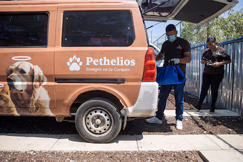 Le crématorium accueille des espèces conventionnelles et exotiques, comme des chiens, des chats, des iguanes, des tortues ou des singes, élargissant ainsi le concept d'animaux de compagnie dans le pays. (EFE/STR)