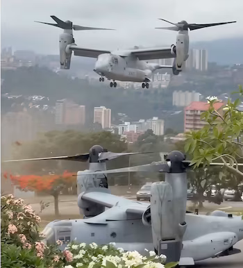 Deux avions militaires à voilure inclinée, l'un survolant des bâtiments urbains et l'autre partiellement visible au sol derrière des buissons en fleurs