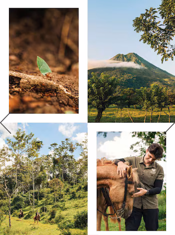 Le magazine a souligné les progrès en matière de conservation et de tourisme régénérateur, en soulignant la protection du parc national Corcovado par les ONG locales. (Avec l'aimable autorisation de l'Institut costaricien du tourisme)