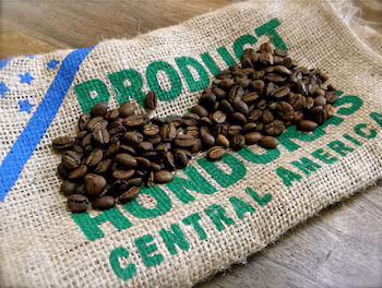Le secteur du café est confronté à des défis liés aux coûts de production, à l'accès au financement et à la variabilité climatique, selon le SAG. (Autorisation : Marchés et Finances)