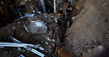 TOGO, un Malinois belge, et MAGO, un Labrador, ont visité la structure effondrée avec leurs guides et équipes de secours. (photos : avec l'aimable autorisation du PMOP)