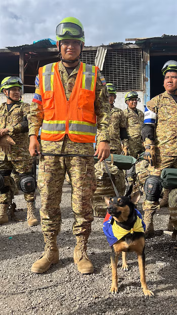Fénix a été retrouvé lors de la mission humanitaire du Salvador après les tremblements de terre de La Guaira, au Venezuela, et recevra une formation à l'UHR (Photo fournie par FAES)