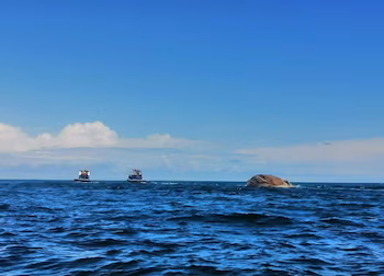 Les impacts environnementaux des activités, travaux et projets susceptibles d’affecter la biodiversité marine seront évalués. (Courtoisie)
