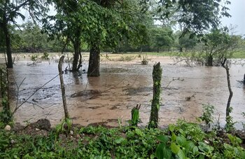 Les pluies les plus importantes sont attendues à Olancho, où jusqu'à 20 millimètres de précipitations pourraient s'accumuler. (Photo : Processus numérique)