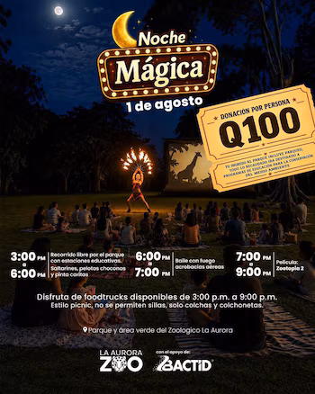 Gens assis sur l'herbe, artiste avec des éventails de feu, écran avec image d'une girafe, affiche « Magical Night », billet « Q100 Donation », lune